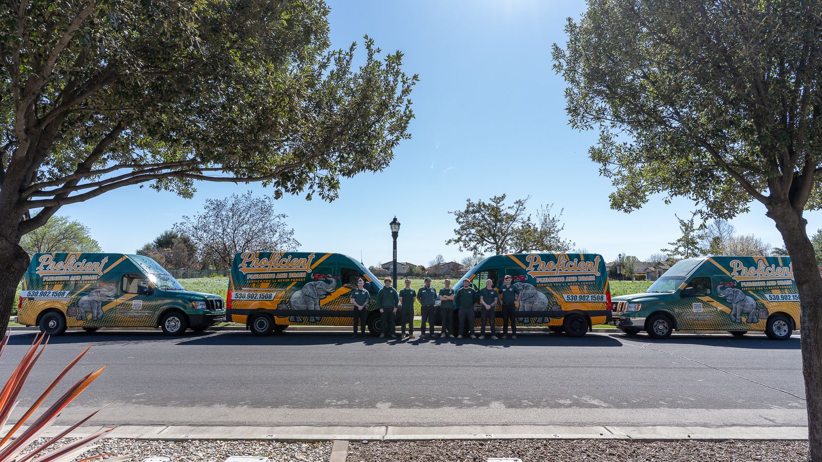 Four wrapped Proficient Plumbing and Drain vans lined up with the full crew standing between them, under tree canopy